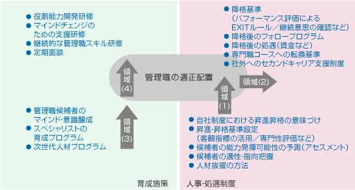 【図表5　昇進・昇格制度点検の視界図】